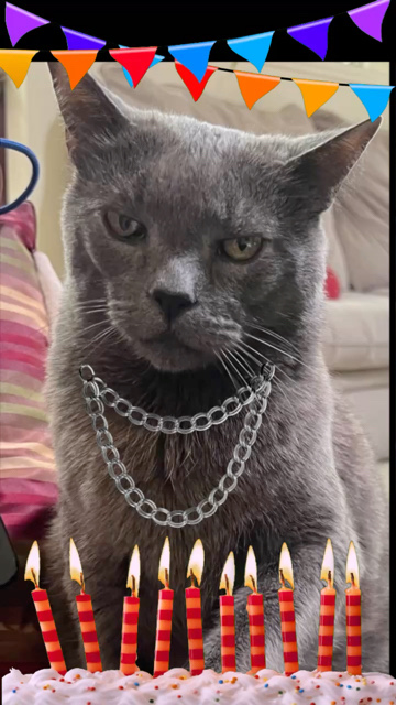 My cat Oscar sings Happy Birthday as made famous by Happy Birthday